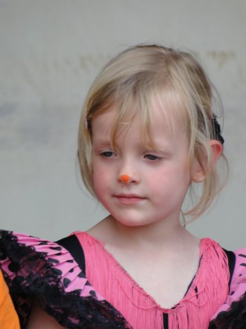 koninginnedag 2012 214.jpg